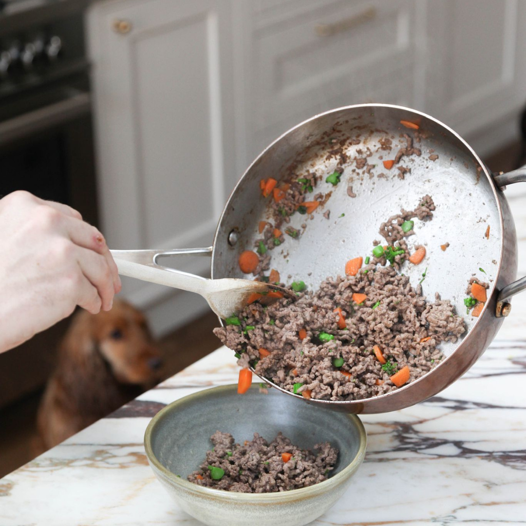 Why are so many people swapping traditional pet food for fresh pet food?