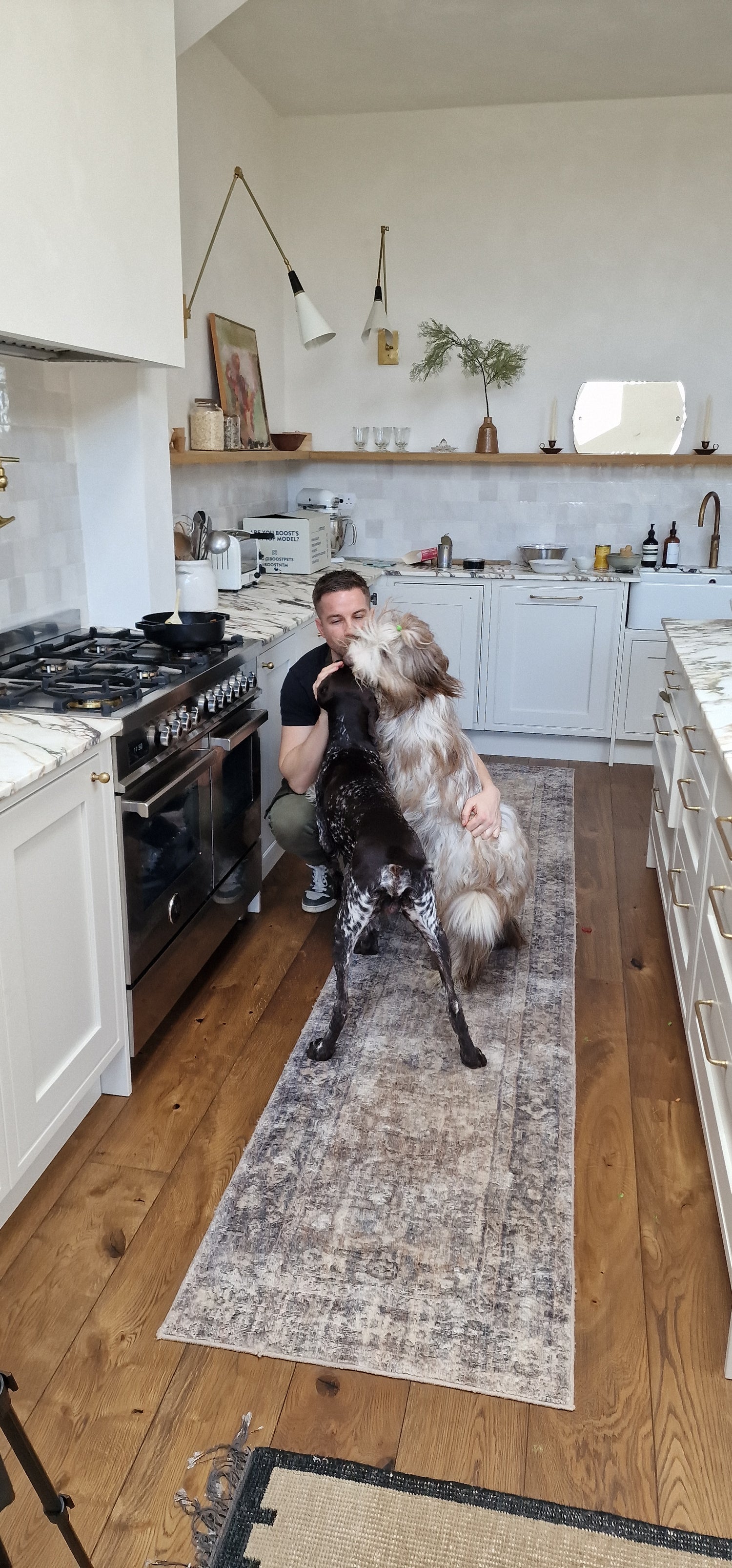 What are the key signs of a happy dog?