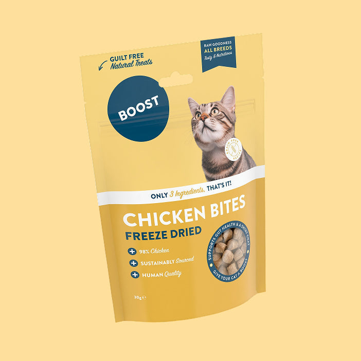 Cat Treats