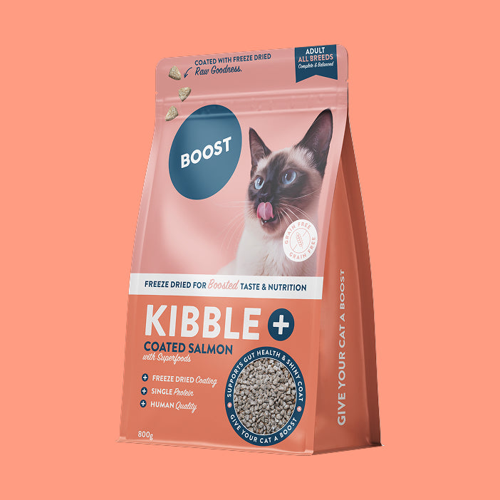 Kibble+ – Boost Pet Food