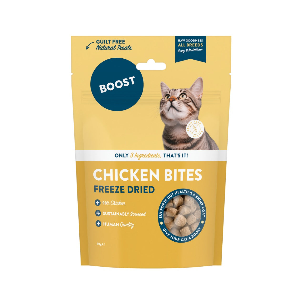 Freeze Dried Chicken Bites.