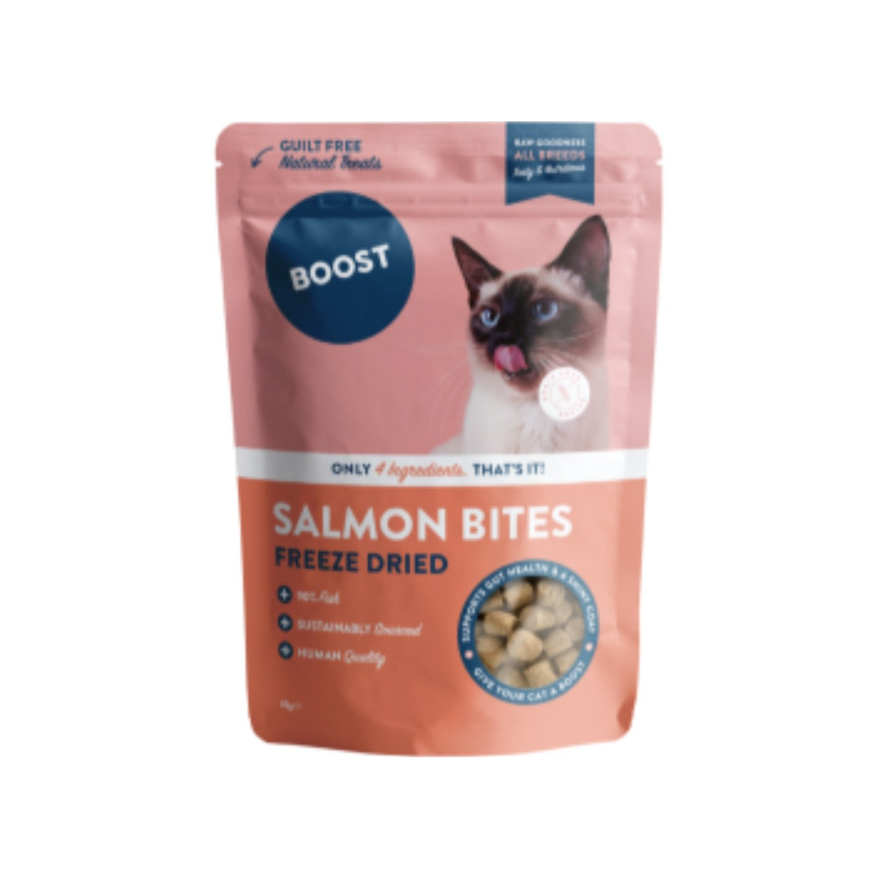 Freeze Dried Salmon Bites.