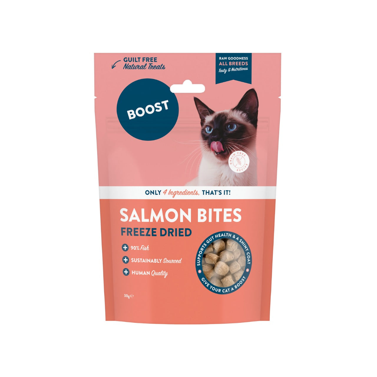 Freeze Dried Salmon Bites.