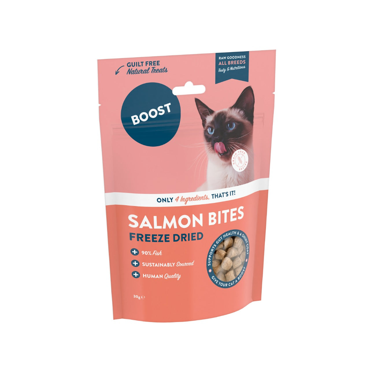 Freeze Dried Salmon Bites.