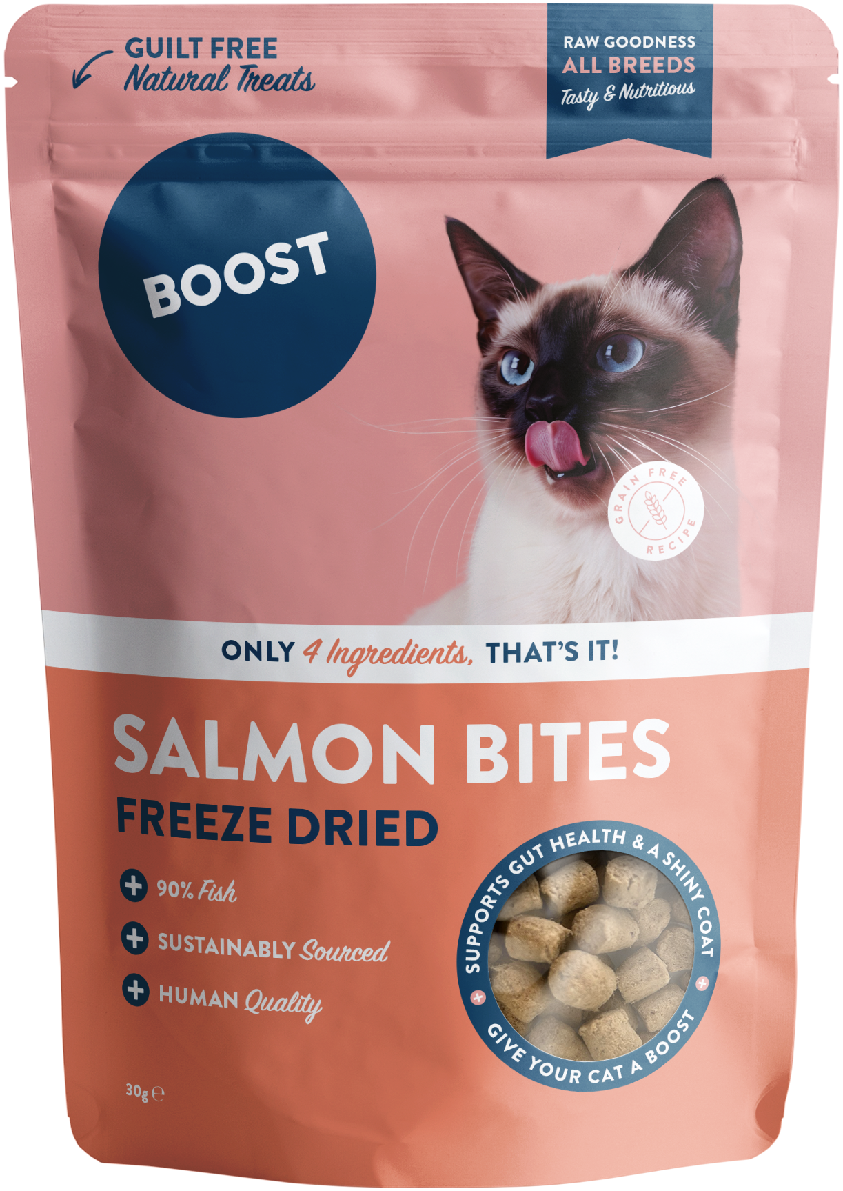 Freeze Dried Salmon Bites.