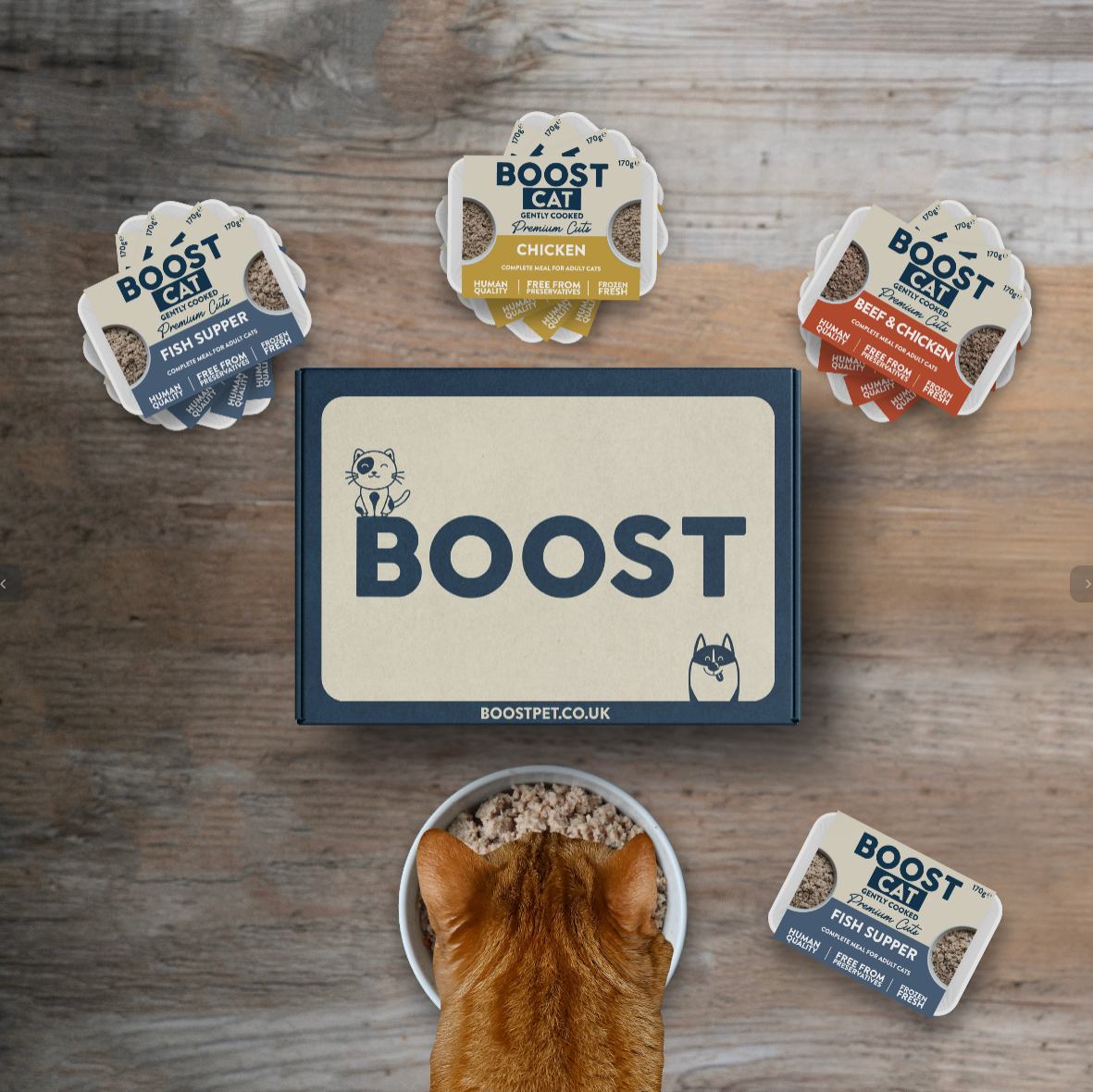 Kitty Booster Plan